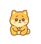 もふもふ柴犬Dangoのまいにち（個別スタンプ：10）