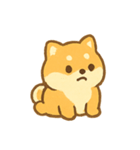 もふもふ柴犬Dangoのまいにち（個別スタンプ：13）