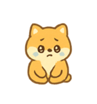 もふもふ柴犬Dangoのまいにち（個別スタンプ：14）