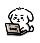 可愛いマルチーズ_2 日常（個別スタンプ：9）