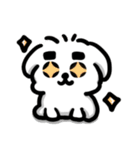 可愛いマルチーズ_2 日常（個別スタンプ：22）