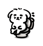 可愛いマルチーズ_2 日常（個別スタンプ：28）