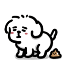 可愛いマルチーズ_2 日常（個別スタンプ：37）