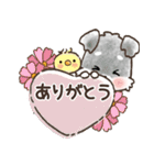愛犬♡シュナウザー★ご挨拶【カフェ風】（個別スタンプ：13）