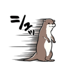 しゃべるかわうそ（個別スタンプ：3）