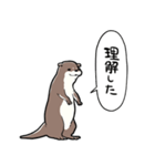 しゃべるかわうそ（個別スタンプ：28）