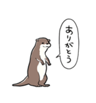 しゃべるかわうそ（個別スタンプ：30）