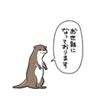 しゃべるかわうそ（個別スタンプ：37）