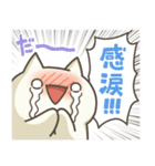 ぬこちゃんねる9。(推し活)（個別スタンプ：18）