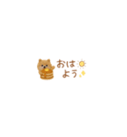 癒しポメラニアンの極省スペースで丁寧敬語（個別スタンプ：2）