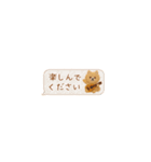 癒しポメラニアンの極省スペースで丁寧敬語（個別スタンプ：23）