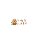 癒しポメラニアンの極省スペースで丁寧敬語（個別スタンプ：38）