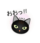 色々な猫15-1 短毛-立ち耳-黒（個別スタンプ：10）