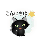 色々な猫15-3 長毛-立ち耳-黒（個別スタンプ：5）