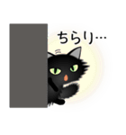 色々な猫15-3 長毛-立ち耳-黒（個別スタンプ：6）