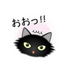 色々な猫15-3 長毛-立ち耳-黒（個別スタンプ：10）