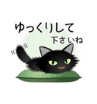 色々な猫15-3 長毛-立ち耳-黒（個別スタンプ：12）