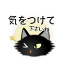 色々な猫15-3 長毛-立ち耳-黒（個別スタンプ：14）