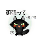色々な猫15-3 長毛-立ち耳-黒（個別スタンプ：16）