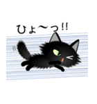 色々な猫15-3 長毛-立ち耳-黒（個別スタンプ：34）