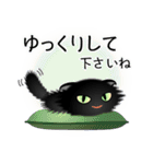 色々な猫15-4 長毛-垂れ耳-黒（個別スタンプ：12）