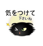 色々な猫15-4 長毛-垂れ耳-黒（個別スタンプ：14）