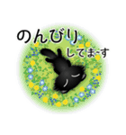 色々な猫15-4 長毛-垂れ耳-黒（個別スタンプ：19）
