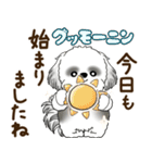 B＆Wのシーズー犬「ポジティブで自信あり」（個別スタンプ：1）