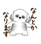 B＆Wのシーズー犬「ポジティブで自信あり」（個別スタンプ：2）