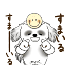 B＆Wのシーズー犬「ポジティブで自信あり」（個別スタンプ：3）