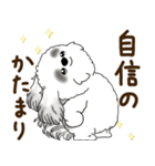 B＆Wのシーズー犬「ポジティブで自信あり」（個別スタンプ：4）