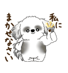 B＆Wのシーズー犬「ポジティブで自信あり」（個別スタンプ：6）