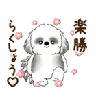 B＆Wのシーズー犬「ポジティブで自信あり」（個別スタンプ：8）