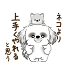 B＆Wのシーズー犬「ポジティブで自信あり」（個別スタンプ：10）