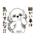 B＆Wのシーズー犬「ポジティブで自信あり」（個別スタンプ：11）