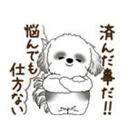B＆Wのシーズー犬「ポジティブで自信あり」（個別スタンプ：12）
