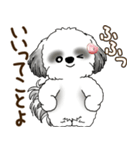 B＆Wのシーズー犬「ポジティブで自信あり」（個別スタンプ：14）