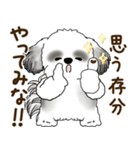 B＆Wのシーズー犬「ポジティブで自信あり」（個別スタンプ：16）