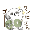 B＆Wのシーズー犬「ポジティブで自信あり」（個別スタンプ：17）