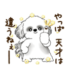B＆Wのシーズー犬「ポジティブで自信あり」（個別スタンプ：20）