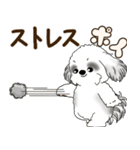 B＆Wのシーズー犬「ポジティブで自信あり」（個別スタンプ：21）