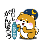 飛び出す！ポジティブなぽっちゃり豆柴（個別スタンプ：3）