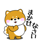 飛び出す！ポジティブなぽっちゃり豆柴（個別スタンプ：6）