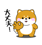 飛び出す！ポジティブなぽっちゃり豆柴（個別スタンプ：7）