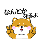 飛び出す！ポジティブなぽっちゃり豆柴（個別スタンプ：8）