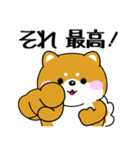 飛び出す！ポジティブなぽっちゃり豆柴（個別スタンプ：11）