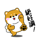 飛び出す！ポジティブなぽっちゃり豆柴（個別スタンプ：12）