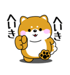 飛び出す！ポジティブなぽっちゃり豆柴（個別スタンプ：14）