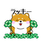 飛び出す！ポジティブなぽっちゃり豆柴（個別スタンプ：15）