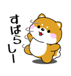 飛び出す！ポジティブなぽっちゃり豆柴（個別スタンプ：16）